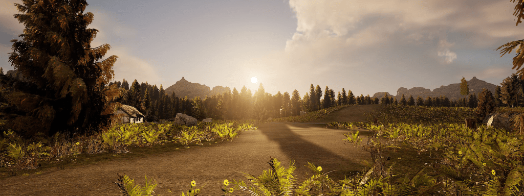 Woodland Walk banner